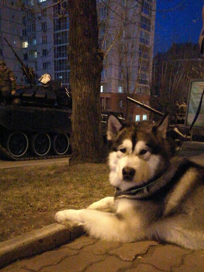 Хороший мальчик принимает парад