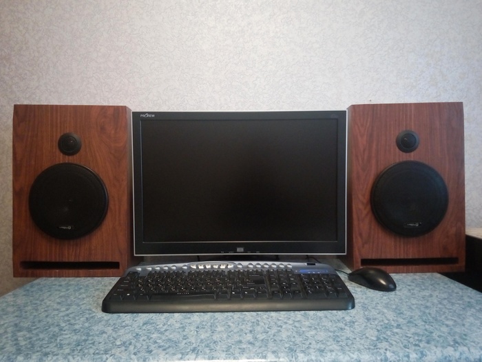 Budget speakers for barabas) - My, Acoustics, Loudspeakers, Shimaxay13, Homemade