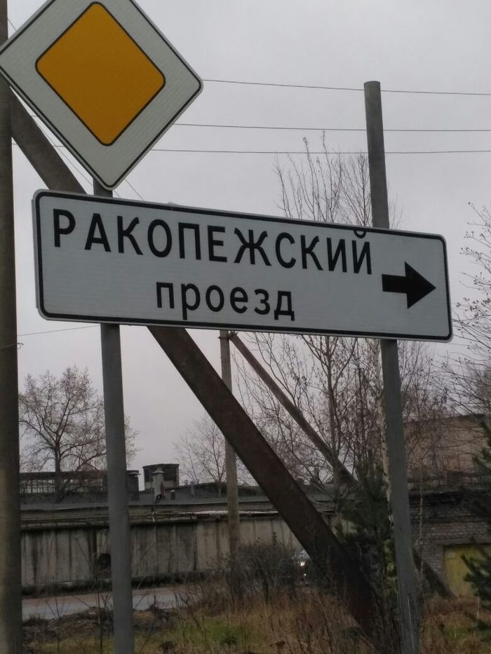Вижу рифму!