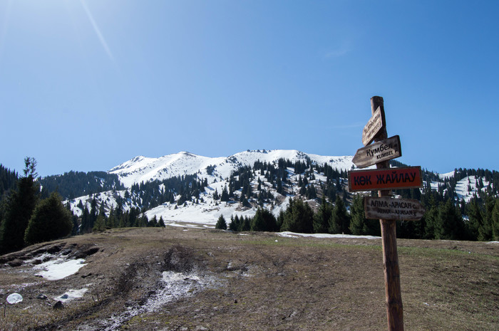 Weekend route Kok-Zhailau plateau, Almaty - My, Nikon d3200, Almaty, Longpost, The mountains, Nature