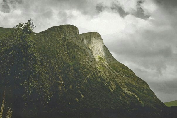 Norway - Norway, Nature, The mountains, Forest, Longpost