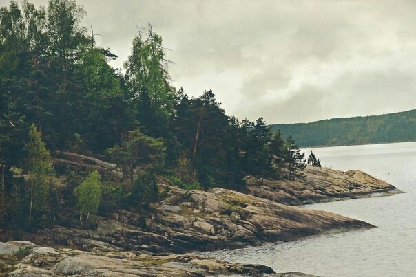 Norway - Norway, Nature, The mountains, Forest, Longpost