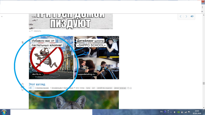 ���� ����� ����� �������