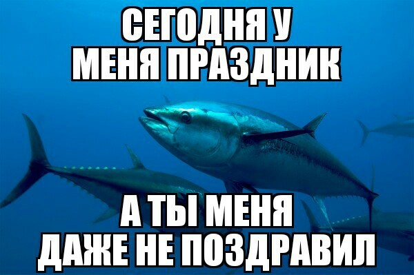 Немного фактов о тунце - Тунец, Всемирный день тунца, Факты, Юмор, Познавательно, Видео, Длиннопост