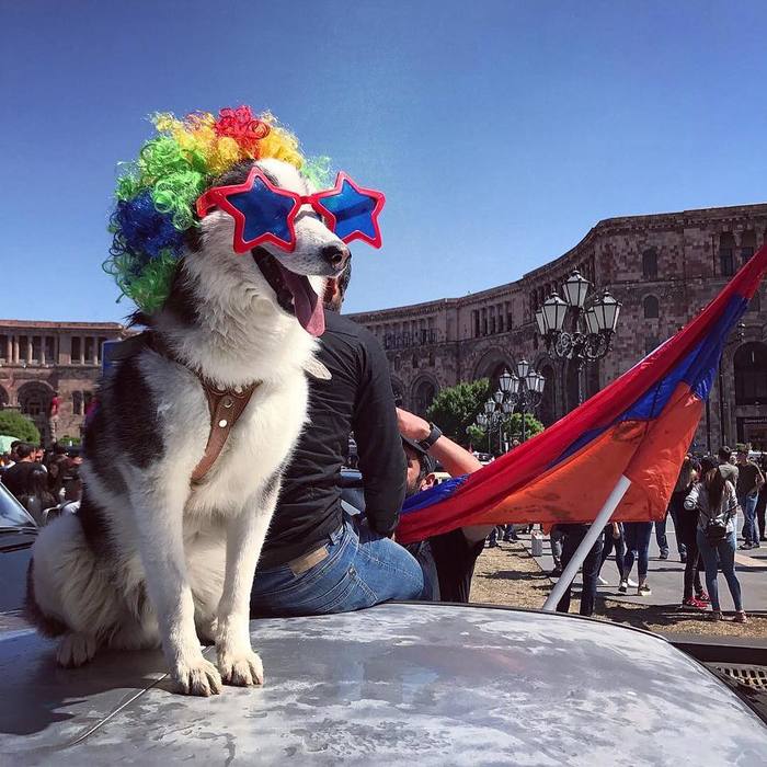 Frame from protests in Yerevan, Armenia - My, Armenia, Protest, Yerevan