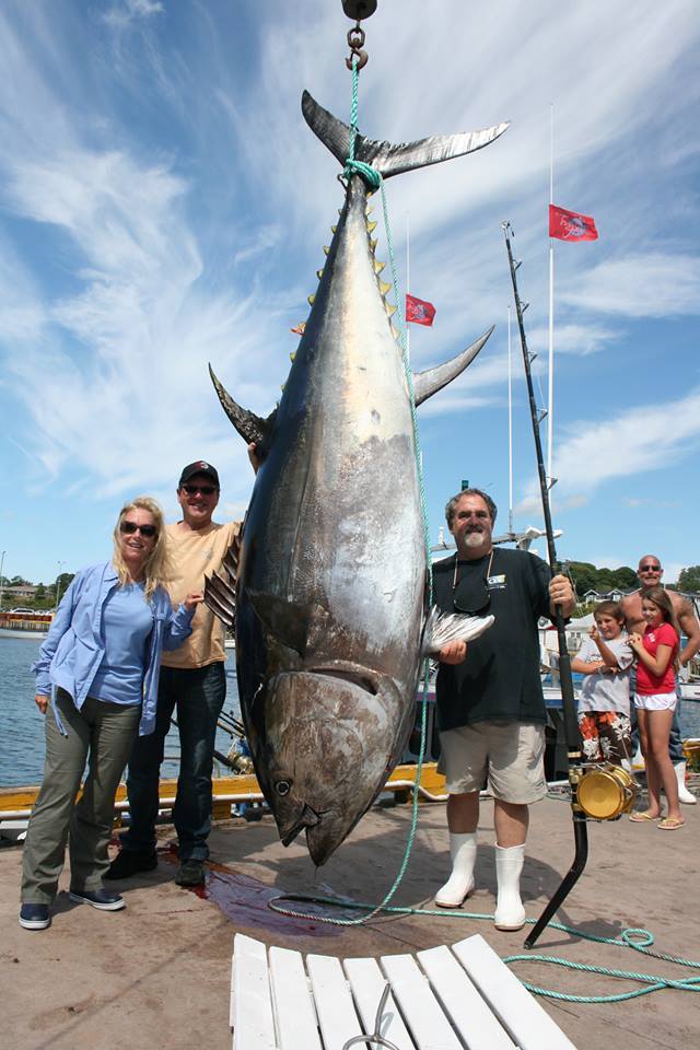 Some facts about tuna - Tuna, , Facts, Humor, Informative, Video, Longpost