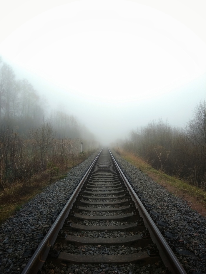 Foggy morning - Forest, Fog, Morning, Railway, My