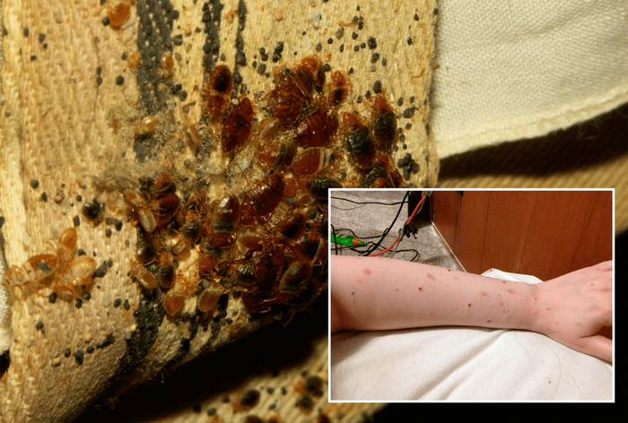 �� ����� ��� ������.