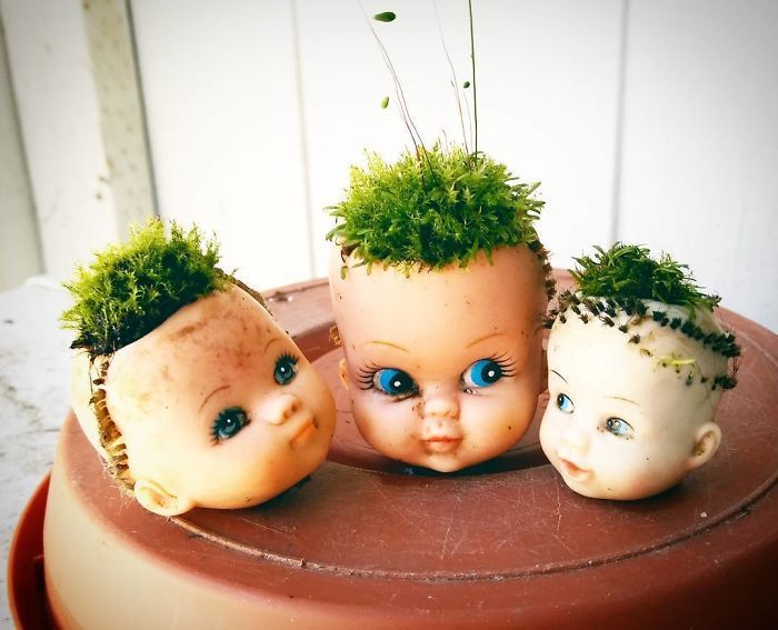 People turned old dolls into plant pots - Longpost, Flowers, Doll, Flower pot, Kripota