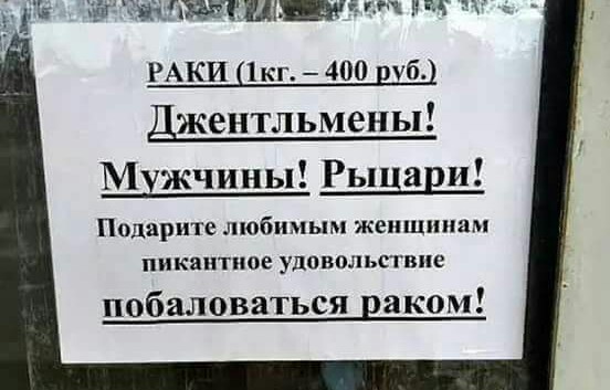 1525539918138438254.jpg