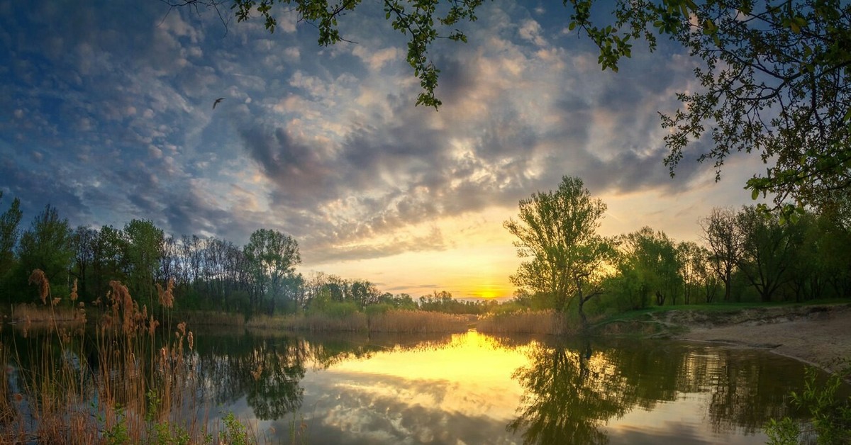 Природа белоруссии. Сергей Домбровский фотохудожник пейзажи. Белоруссия природа. Пейзажи Беларуси. Белорусские пейзажи очень красивые.