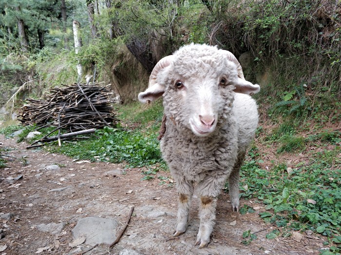 ПРЕКРАЩАЙ быть дурой!