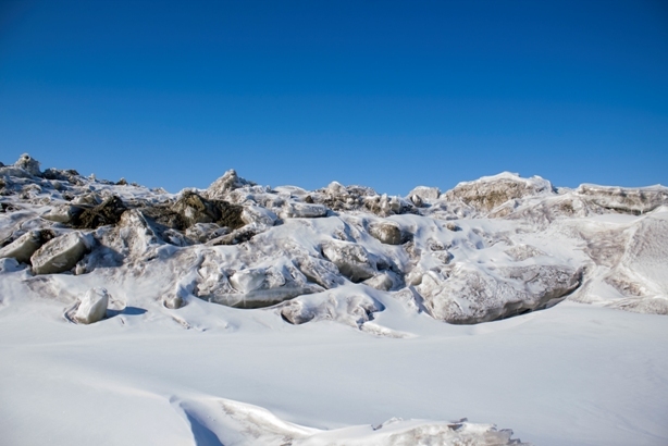 Hummocks of Lake Khanka, Primorsky Krai, Russia. - My, Khanka, Primorsky Krai, Russia, Nature, beauty, Longpost