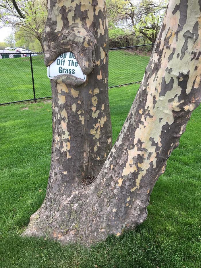 Сила природы