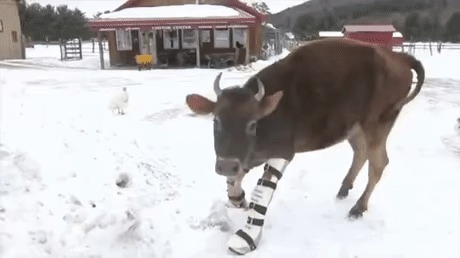 -,    ?!  -, !    !