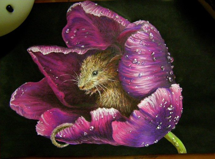 Mouse in a tulip - My, Dry pastel, Mouse, Tulips