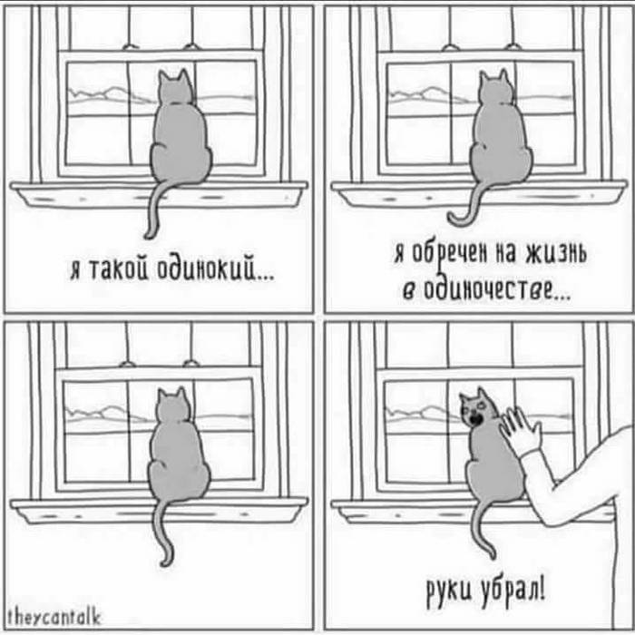 Many of us are such cats. - Psychology, Psychotherapy, Gestalt, cat, Addiction, Loneliness, Window