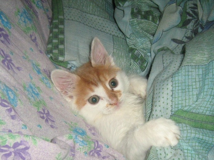 Нужна помощь, кому не сложно