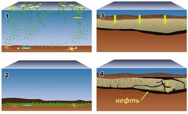 Hypotheses of the origin of oil, the rescue of Arctic whales and hidden protest. - My, , Geologyalmost, Longpost, Geology