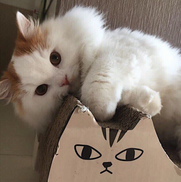        ? , ,  