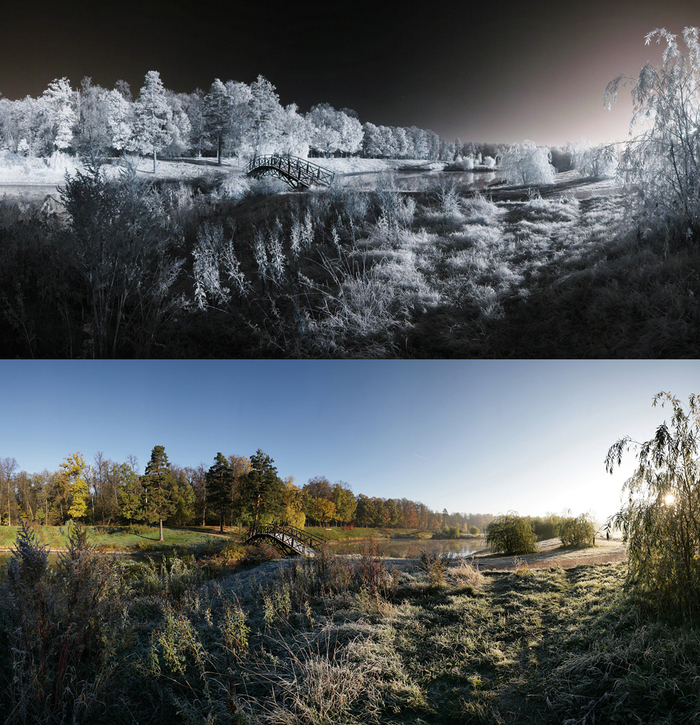 IR VS Color - My, , Color, The photo, Infrared, , Canon, Infrared shooting