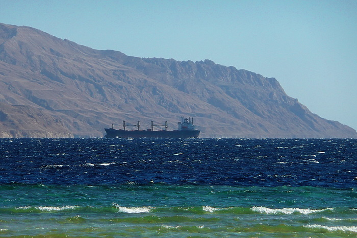 Wool sea - My, Red sea, Aqaba, 