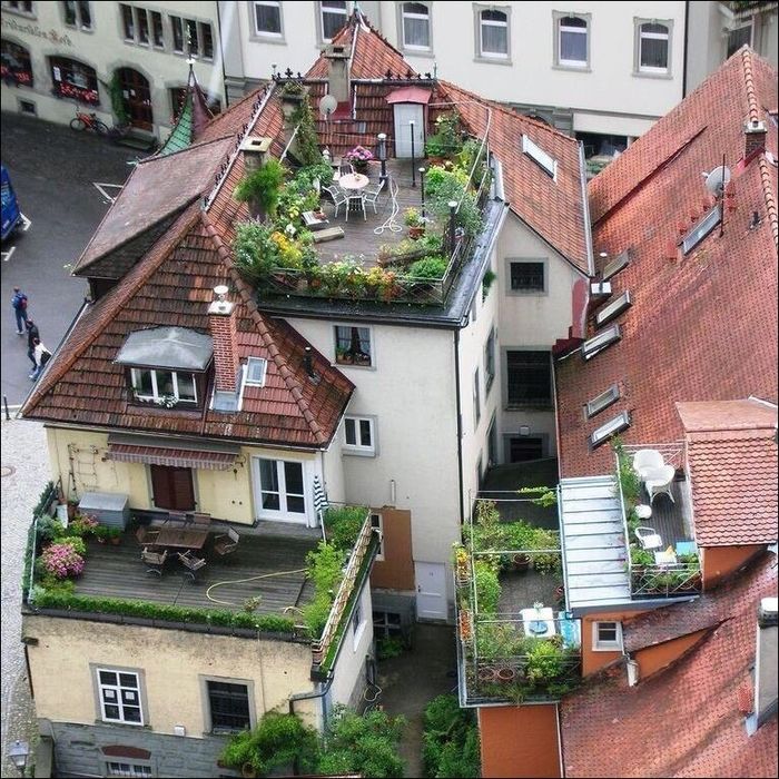On the roof - , From the network, Roof, roof garden, Munster, Germany, Private house, The photo, Roof