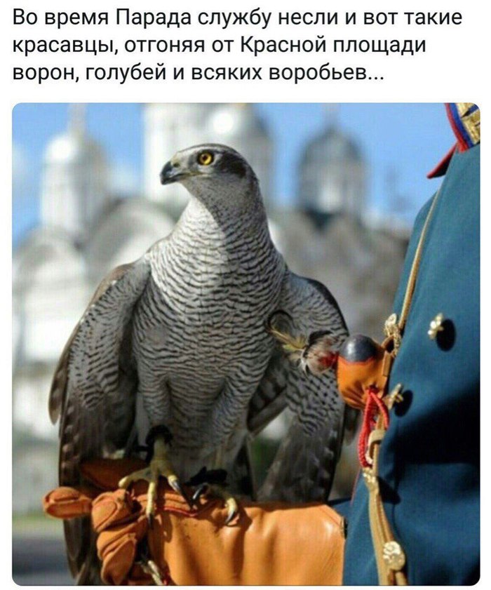 Бойцы невидимого фронта