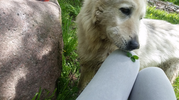 Требуется помощь Москва-Питер-Алматы