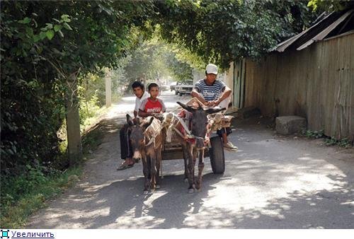 Big trip to Tashkent. 3 o'clock - My, Travels, Tashkent, Longpost