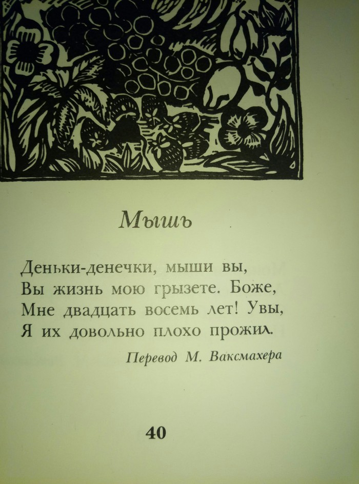 ������, ������� � ��������