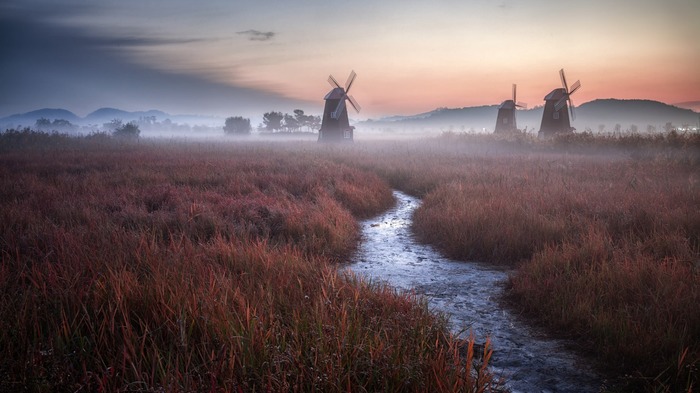 Mills in the fog. - The photo, Landscape, Holland, Windmill, Netherlands (Holland)