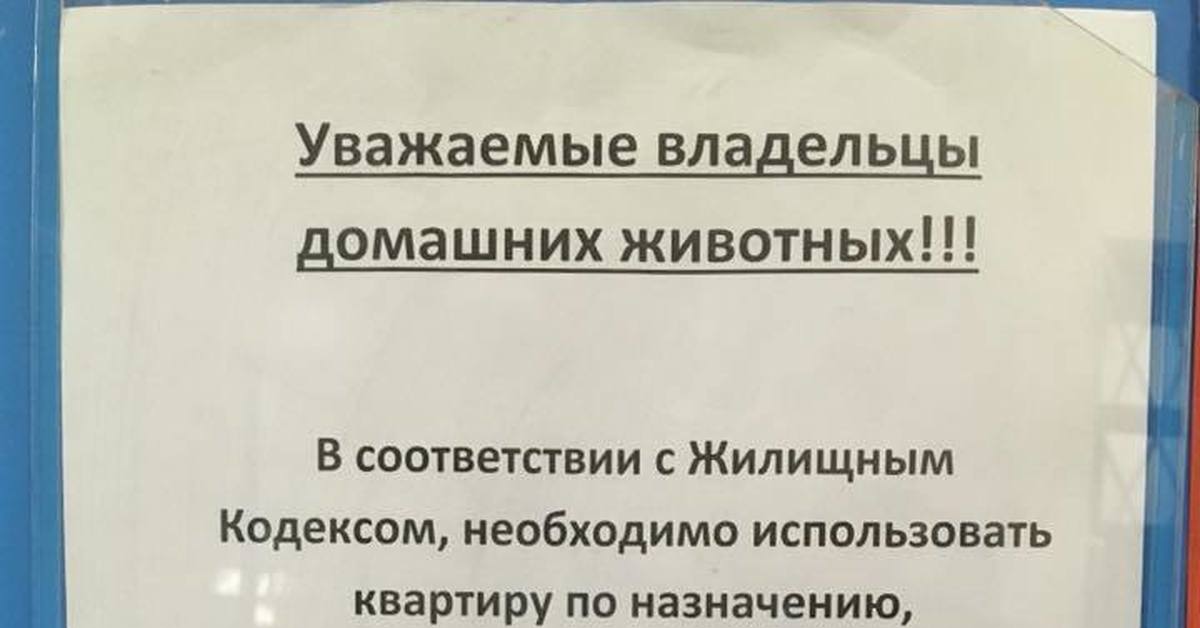 Уважаемые владельцы. Уважаемые владельцы животных. Уважаемые владельцы домашних животных. Уважаемые владельцы домашних. Уважаемые хозяева животных.