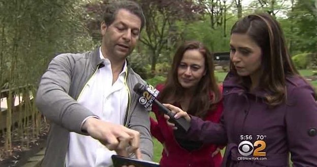 A couple from Staten Island dug up a safe with diamonds, gold and money in their garden - Safe, Longpost, Treasure, Find, Gold, Money, Decency