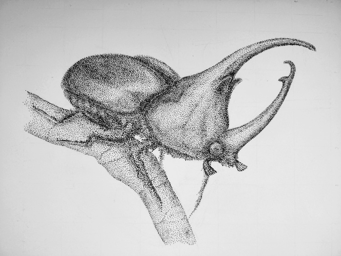 Dotwork. Третий рисунок.