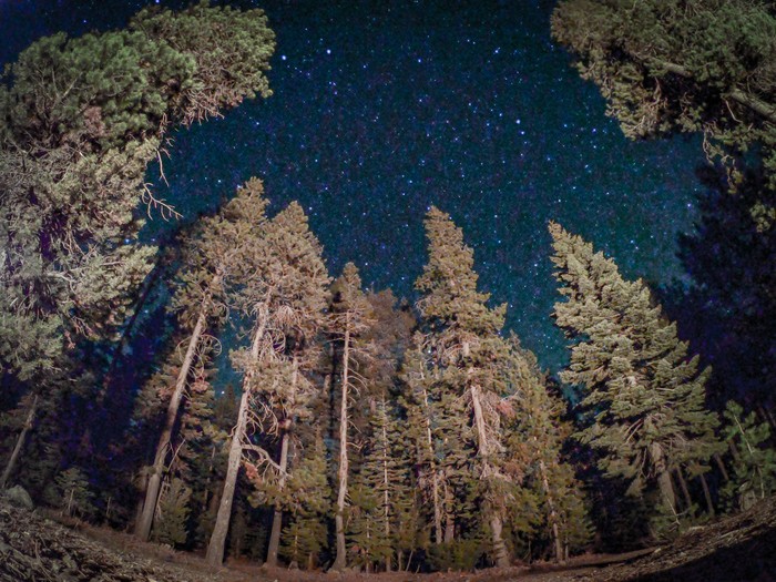 Starry Nights in the Sierra Nevada, California, USA - Night shooting, The photo, The mountains, California, My