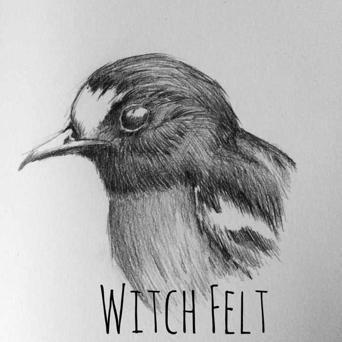 Bird - My, Drawing, Pencil drawing, Birds, Sketch, Sketchbook, Pencil