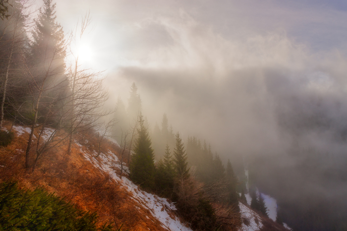 Dawn in the gorge - My, Almaty mountains, , 18-55 kit, dawn, Autumn, Nature