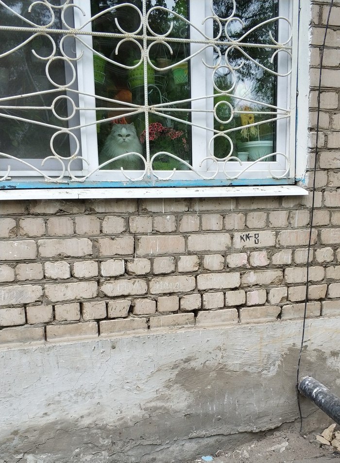 ��� ��������