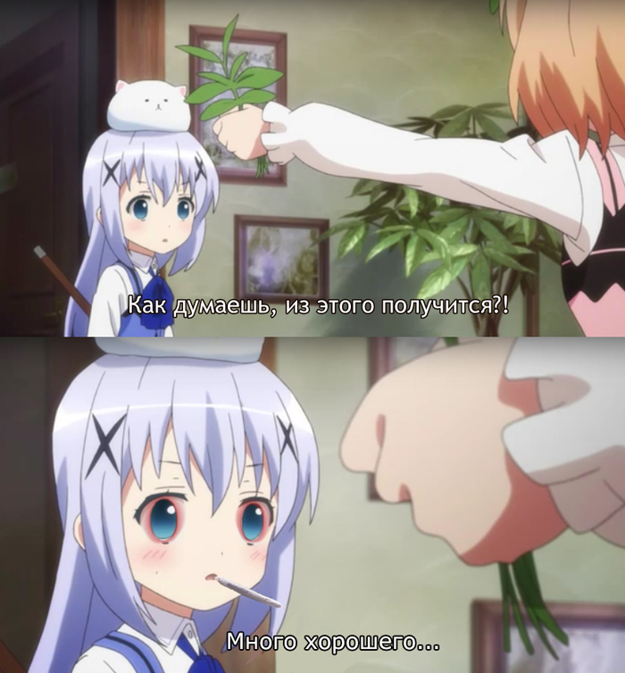 Grass [2] - My, Anime, Grass, Drugs, Gochuumon wa usagi desu ka?