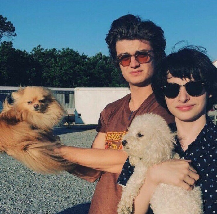 This dog is clearly unhappy with something. - Dog, Discontent, The photo, Very strange things, Actors and actresses, Finn Wolfhard, TV series Stranger Things