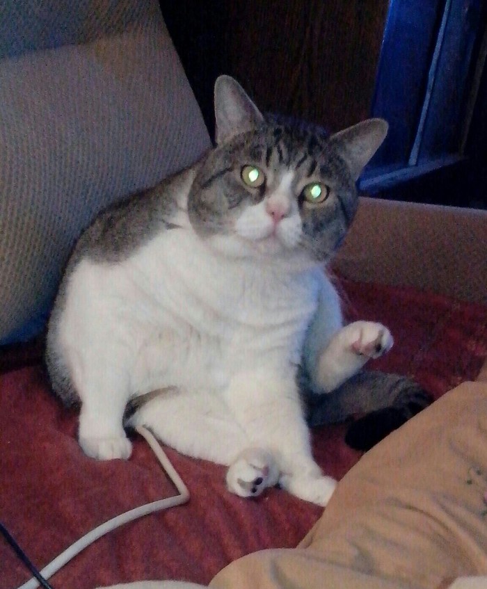 �� �� ��������?