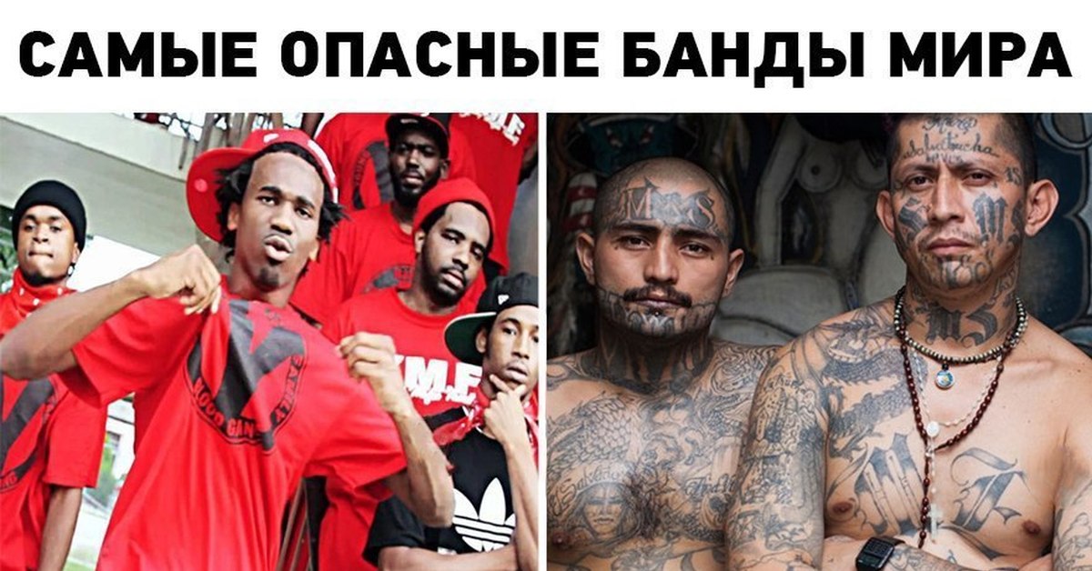 Сильные группировки. Самые опасные банды в мире Мем. Самые опасные банды мира прикол. Топ опасных банд в мире.