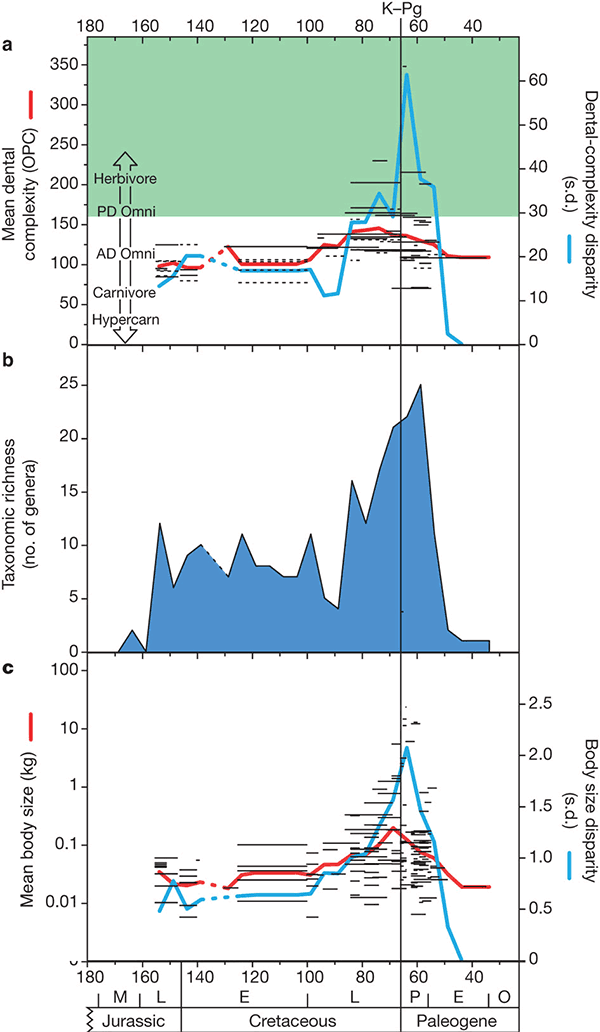 The expansion of herbivorous mammals began long before the extinction of the dinosaurs - Paleontology, Mammals, The science, Interesting, Copy-paste, Elementy ru, Longpost