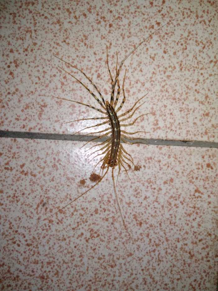 5-�� ������������� ������� ����� ����.