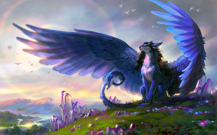 Viel , , Levelviolet