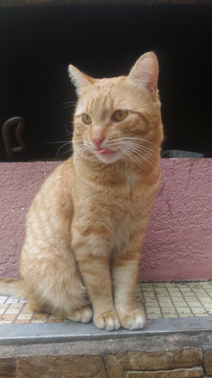 � ��� �� �����, ���� ������� ���