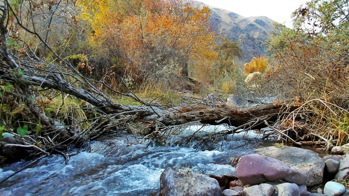 Small river - Mountain river, Autumn, My