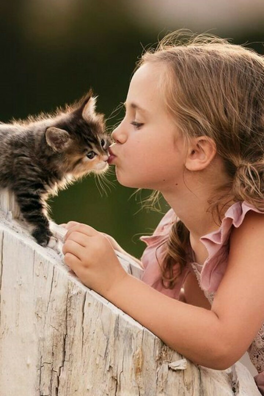 Love . - Girl, cat, Love, Kiss