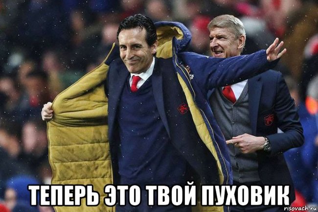 Continuity - Football, Arsenal London, Arsene Wenger, , Down jacket